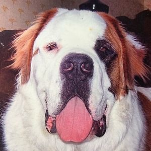 Meet your Posher, Renee